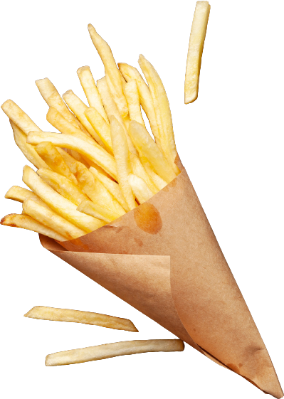 SEASONED FRIES